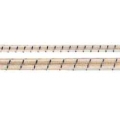 corda elastica
